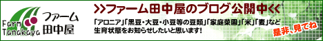 ファーム田中屋のブログ